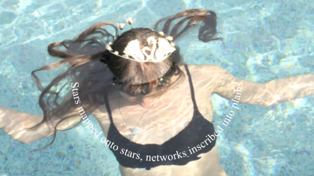 Faux C by Stephanie Creaghan